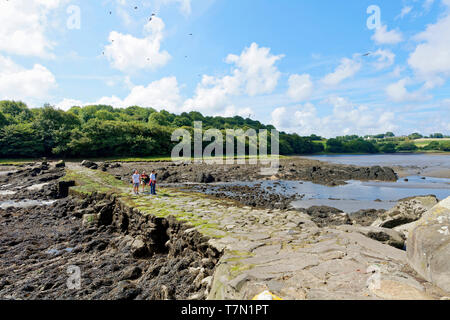 Frankreich, Finistere, Pays des Abers, Legenden Küste, Plouguerneau, Pont Krac'h oder Pont du Diable (Brücke, Aber Wrac'h bei Ebbe des Teufels) Stockfoto