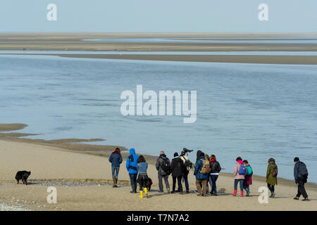 Eine Gruppe von Amateur-ornithologen sieht für Seevögel im Le Cayeux-sur-Mer, Baie de Somme, Frankreich Stockfoto