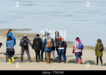 Eine Gruppe von Amateur-ornithologen sieht für Seevögel im Le Cayeux-sur-Mer, Baie de Somme, Frankreich Stockfoto