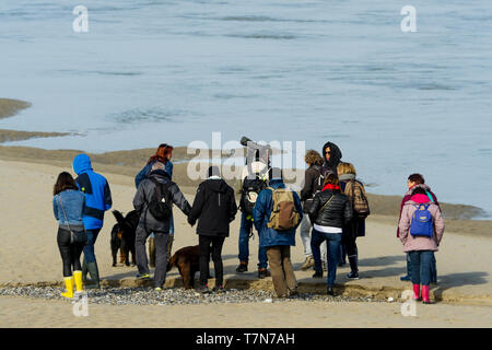 Eine Gruppe von Amateur-ornithologen sieht für Seevögel im Le Cayeux-sur-Mer, Baie de Somme, Frankreich Stockfoto