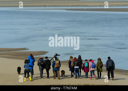 Eine Gruppe von Amateur-ornithologen sieht für Seevögel im Le Cayeux-sur-Mer, Baie de Somme, Frankreich Stockfoto