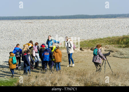 Eine Gruppe von Amateur-ornithologen sieht für Seevögel im Le Cayeux-sur-Mer, Baie de Somme, Frankreich Stockfoto