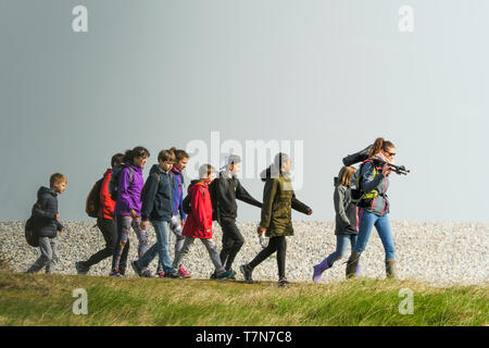 Eine Gruppe von Amateur-ornithologen sieht für Seevögel im Le Cayeux-sur-Mer, Baie de Somme, Frankreich Stockfoto