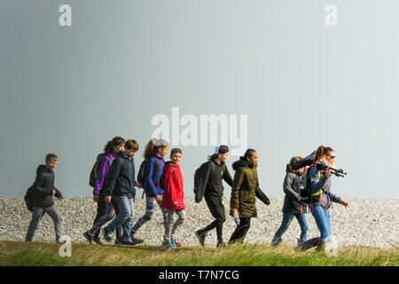 Eine Gruppe von Amateur-ornithologen sieht für Seevögel im Le Cayeux-sur-Mer, Baie de Somme, Frankreich Stockfoto