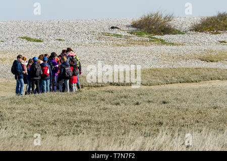 Eine Gruppe von Amateur-ornithologen sieht für Seevögel im Le Cayeux-sur-Mer, Baie de Somme, Frankreich Stockfoto