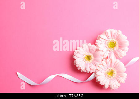 Schöne Gerbera Blumen auf farbigen Hintergrund, Platz für Text Stockfoto