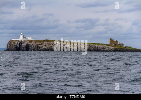 Farne Leuchtturm gebaut im Jahre 1811 auf den Inneren Farne, mit Brownsman Insel und Beacon Tower darüber hinaus. Farne Islands, Northumberland, Großbritannien. Mai 2018. Stockfoto