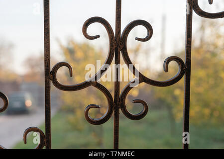 Black Metal Zaun, aus der Nähe. Schöne dekorative Gusseisen schmiedeeisen Zaun mit künstlerischen schmieden. Metall Schutzgeländer Stockfoto