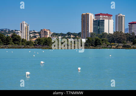 Las Salinas See in Calpe, Spanien mit einigen Flamingos. Stockfoto