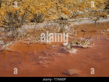 Laguna Salada in Torrevieja, Spanien. Rosa gesalzen See. Salinas Naturpark. Stockfoto