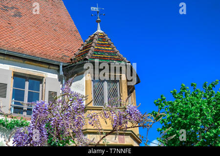 Alte Hausfassade mit Turm und Glyzinien Blumen im Elsass, Frankreich Stockfoto