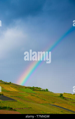 Regenbogen über Weingut im Elsass, Frankreich Stockfoto