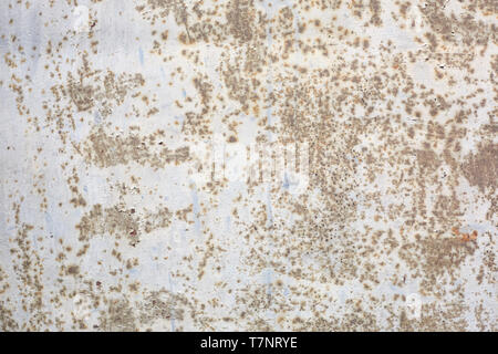 Grau, Rusty und abgeplatzte Metall Textur Hintergrund Stockfoto