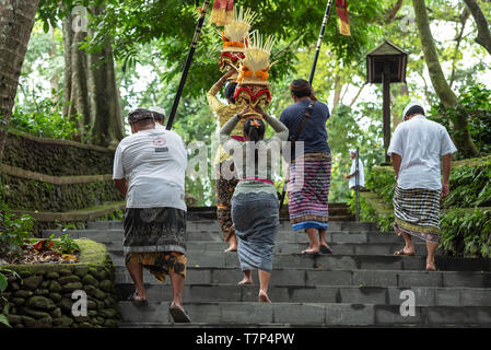 In Ubud, Indonesien - 04 April, 2019: Balinesische Parade mit Frauen carryingoffering Für hinduistische Gott im Affenwald von Ubud Tempel Stockfoto