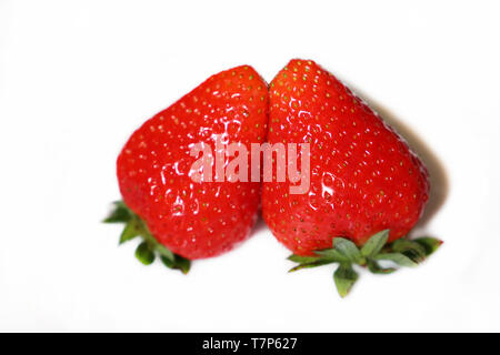 Zwei Erdbeeren schließen bis auf weißem Hintergrund. Rote reife Erdbeere Stockfoto