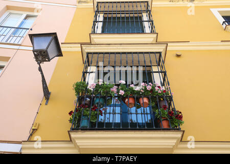 Lonely Balkon mit blauen Blüten in einer Straße in Spanien, Sevilla, Andalusien dekoriert - gelbe Wand mit im Hintergrund. Stockfoto