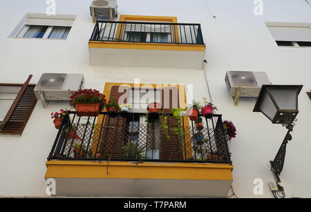 Lonely Balkon mit blauen Blüten in einer Straße in Spanien, Sevilla, Andalusien - Weiße Wand mit im Hintergrund gehalten. Stockfoto