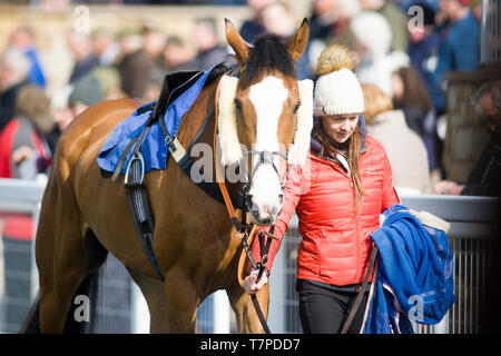 Kelso, Schottland - 8. April: Während der Kelso Rennen Buccleuch Cup Day treffen sich Kelso Pferderennbahn am 8. April 2019 in Kelso, Vereinigtes Königreich. Stockfoto