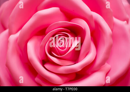 Rosa künstliche Rose groß. Rose Blume Hintergrund Stockfoto