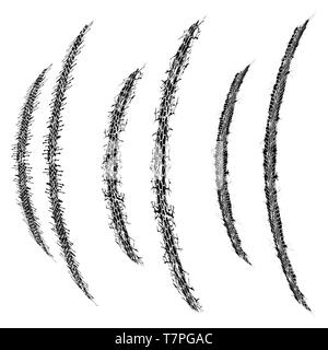 Satz von drei reifen Titel mit verschiedenen grunge Spritzer Stock Vektor