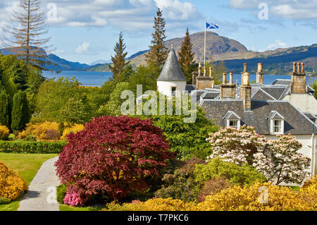 ATTADALE GÄRTEN STRATHCARRON WESTER ROSS SCHOTTLAND IM FRÜHJAHR, DAS HAUS UND DIE GÄRTEN GELBEN AZALEEN MIT BLAUEN LOCH CARRON IN DER FERNE Stockfoto