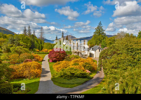 ATTADALE GÄRTEN STRATHCARRON WESTER ROSS SCHOTTLAND IM FRÜHJAHR, DAS HAUS UND DIE GÄRTEN GELBEN AZALEEN MIT LOCH CARRON IN DER FERNE Stockfoto