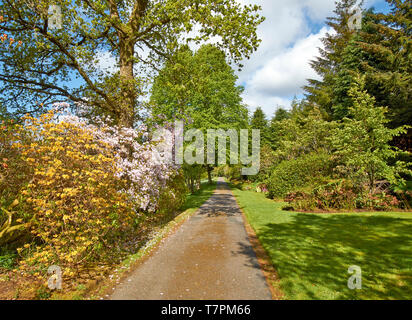 ATTADALE GÄRTEN STRATHCARRON WESTER ROSS SCHOTTLAND Blumen und Bäumen gesäumten Eingang zu den Gärten Stockfoto