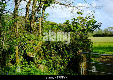 Öffentlichen Fußweg Hinweisschild auf der rechten Seite der Weg über eine Hecke und über ein Feld - Johannes Gollop Stockfoto