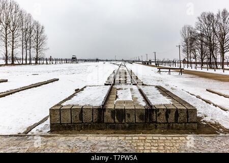 Polen, Auschwitz, Birkenau, deutscher NS-Konzentrations- und Vernichtungslager (1940-1945), Eisenbahnschienen im Camp, Schienen unter dem Schnee Stockfoto