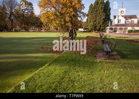 Ruhigen Blick eines Gärtners clearing Herbst Blätter aus dem Bowling Green-Bereich in der Süd-Park,Darlington,Co.Durham Stockfoto