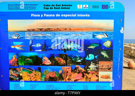 Information Board Identifizierung des Sealife in der Marine Reserve von Cap de Sant Antoni, Dénia an der Costa Blanca, Spanien Stockfoto