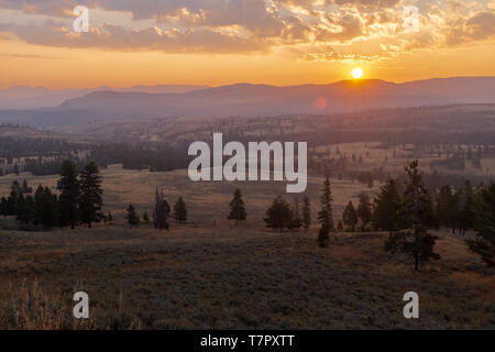 Sonnenaufgang in der Yellowstone National Park, die Sonne wirft über die Hügel und deckt die Wiese im goldenen Licht, keine Menschen im Bild Stockfoto