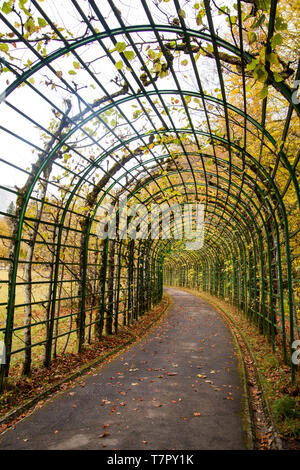 Ein Tunnel von Pflanzen im Garten von Schloss Linderhof gemacht Stockfoto