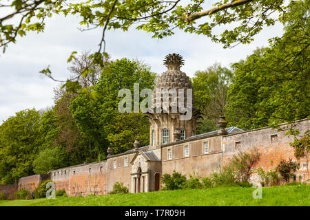 Die Dunmore Pineapple ist eine Folly im Dunmore Park in der Nähe von Airth in Stirlingshire, Schottland Stockfoto