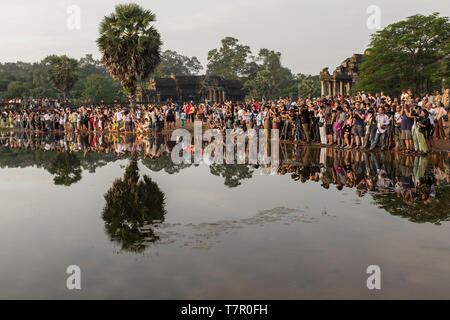 Angkor Wat, Siem Reap, Kambodscha, November 4, 2014: eine große Menge von Fotografen Masse um den Rand eines Sees in Angkor Wat warten, das perfekte Sonnenaufgang geschossen, ihre Reflexion in den Seen Wasser zu ergreifen Stockfoto