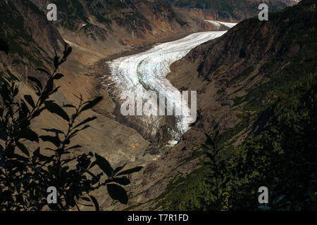 Einen weiten Blick auf den Kopf des majestätischen Salmon Glacier, British Columbia, Kanada Stockfoto