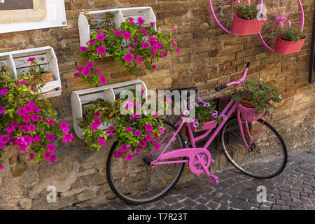 Eine altmodische Zyklus, lackiert rosa und lehnte sich gegen eine Wand von Blumenkästen mit Pin-blühenden Blumen in Italien umgeben Stockfoto