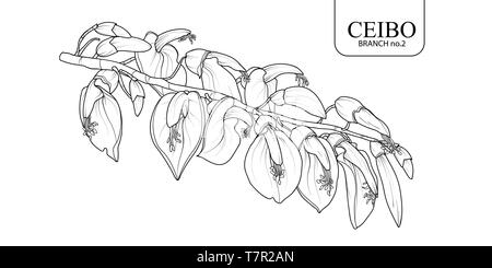 Süße Hand gezeichnet isoliert Ceibo Zweig 2. Blume Vector Illustration in schwarzer Umriss und weißen Ebene auf weißem Hintergrund. Stock Vektor