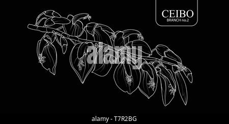 Süße Hand gezeichnet isoliert Ceibo Zweig 2. Blume Vector Illustration nur weißer Umriss auf schwarzem Hintergrund. Stock Vektor