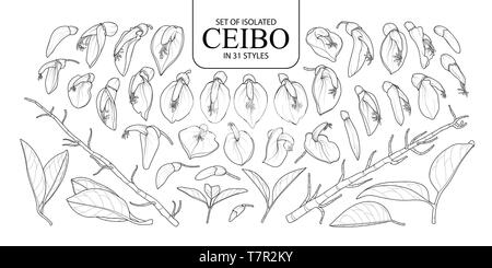 Eingestellt von isolierten Ceibo in 31 Arten. Süße Hand gezeichnet Blume Vector Illustration in schwarzer Umriss und weißen Ebene auf weißem Hintergrund. Stock Vektor