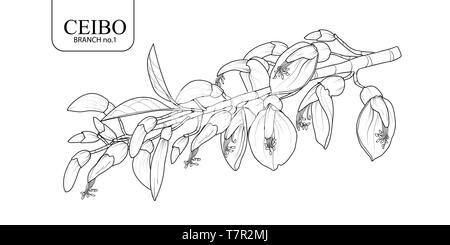 Süße Hand gezeichnet isoliert Ceibo Zweig 1 1. Blume Vector Illustration in schwarzer Umriss und weißen Ebene auf weißem Hintergrund. Stock Vektor
