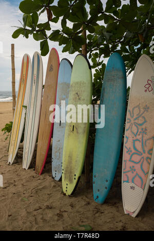 Eine Reihe von bunten Surf lange Bretter aufgereiht auf einem Strand von Puerto Viejo de Talamanca in Costa Rica mit bedecktem Himmel im Hintergrund, Porträt Aspekt Stockfoto