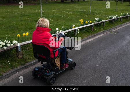 Eine pensionierte Dame in einem roten Mantel, in der Freiheit eines elektrischen Mobilität scooter in einer ruhigen Straße mit Narzissen im Frühling blühen. Stockfoto