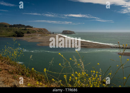 Das Russian River erfüllt die Pazifischen Ozean am Jenner Köpfe, mit leuchtend gelben Blumen im Vordergrund und der strahlend blaue Himmel Stockfoto