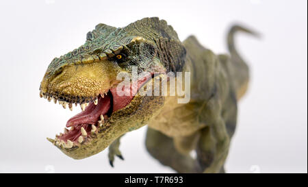 Tyrannosaurus Rex Modell/Spielzeug Porträt mit Knurren Mund geöffnet, die Zunge und die Zähne mit dem Rest des Körpers aus, die mit einem weißen zurück genommen Stockfoto