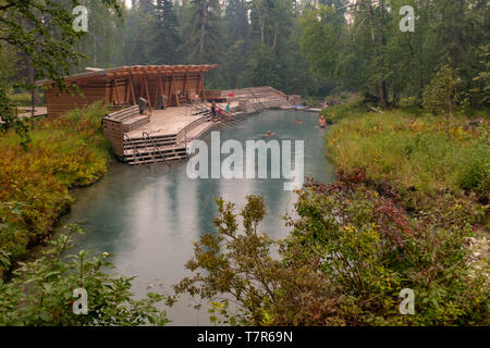 Familien genießen die therapeutischen heißen Gewässern des Liard River Hot Springs in British Columbia, Kanada, das Grün des Waldes rund um. Stockfoto