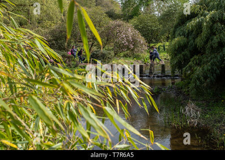 Harewood, Yorkshire, UK, April, 23, 2019: eine Mutter sorgfältig hilft ihren jungen Sohn über die Trittsteine über den See auf das Harewood House, Harewood, Yorkshire, Großbritannien Stockfoto