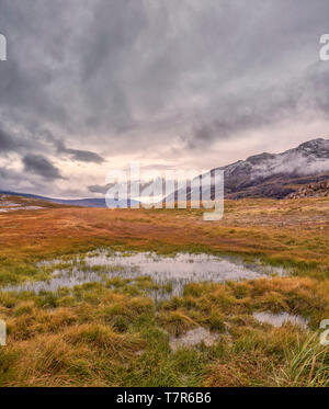 Landschaft, Igaliku, Grönland Stockfoto