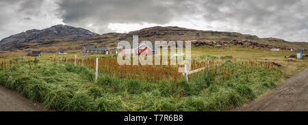 Ackerland, Igaliku, Grönland Stockfoto