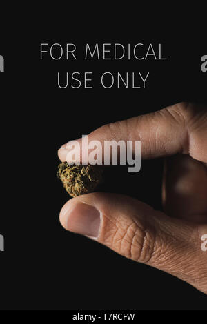 Nahaufnahme eines jungen kaukasischen Mann mit Marihuana bud in seiner Hand und der Text nur für medizinische Zwecke, die vor einem schwarzen Hintergrund Stockfoto
